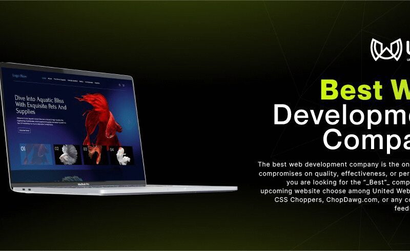 Best Web Development Company