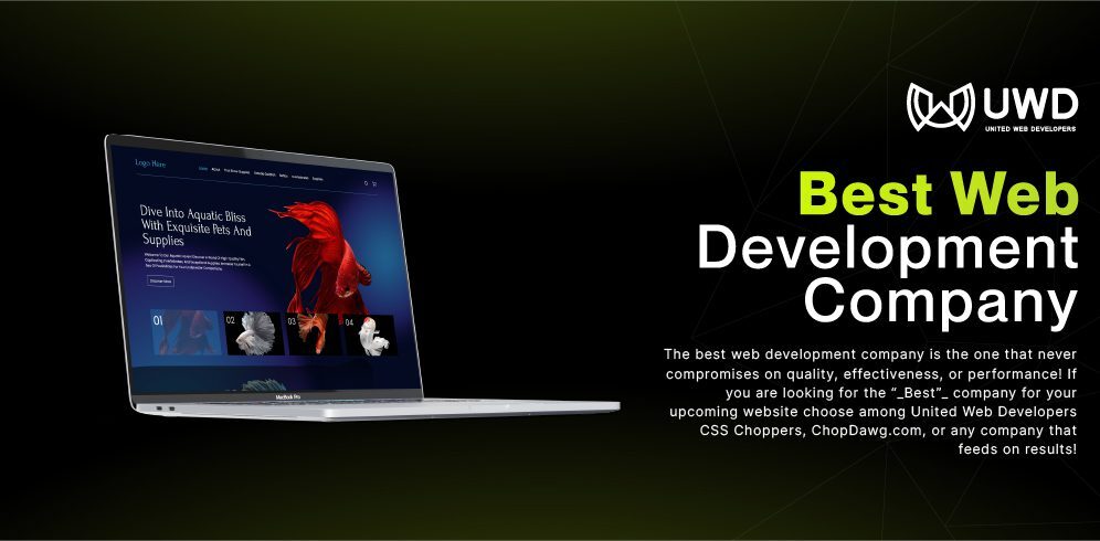 Best Web Development Company