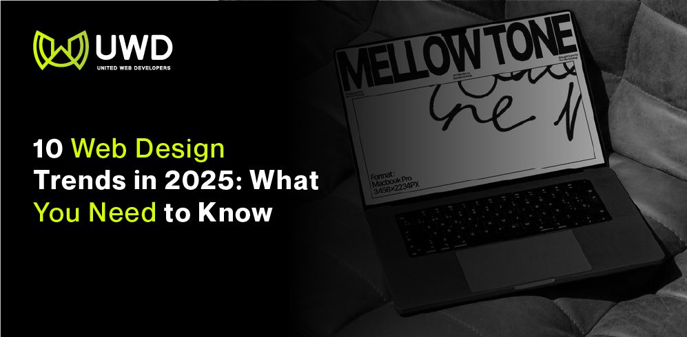 10 Web Design Trends